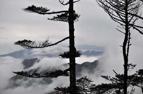 Panoramic view of rows of mountain ridges Stock Photos