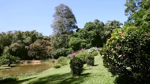 Panoramic view of Royal Botanical King Gardens and museum, Peradeniya, Sri Lanka Stock Footage 83443546