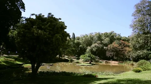 Panoramic view of Royal Botanical King Gardens and museum, Peradeniya, Sri Lanka Stock Footage 83443581
