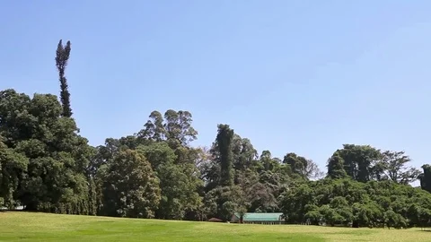 Panoramic view of Royal Botanical King Gardens and museum, Peradeniya, Sri Lanka Stock Footage 83448577