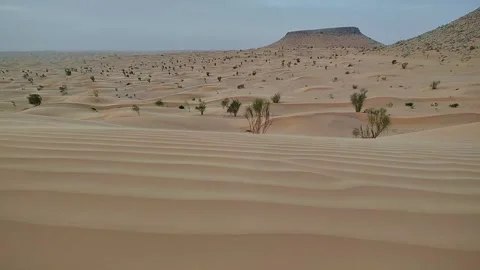Panoramic view of Sahara dunes scattered with desert shrubs below a flat-top Stock Footage 344530408
