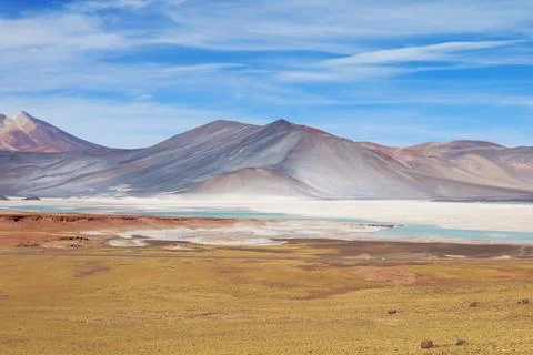 Panoramic View of Salar de Talar, the High Plateau Salt Lakes in Northern Chile Stock Photos
