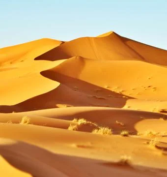 Panoramic view of sand dunes Stock Photos