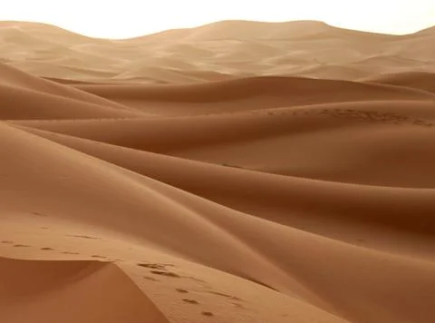 Panoramic view of sand dunes Stock Photos