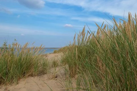 A panoramic view on the sandy beach by Baltic Sea on Sobieszewo island, Pol.. Stock Photos