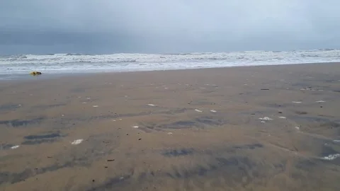 A panoramic view of a sandy beach meets the water ,with white specks on the.. Stock Footage 329206951