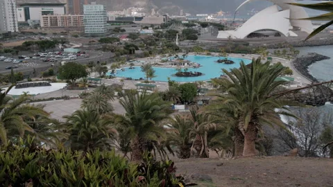 Panoramic view of Santa Cruz de Tenerife from Palmetum on large blue pool and Stock Footage 279851983
