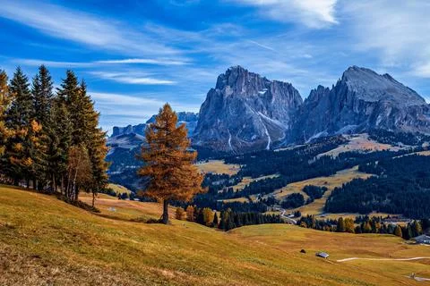 Panoramic view of the Sasso Lungo group in the Dolomites, Italy. Stock Photos