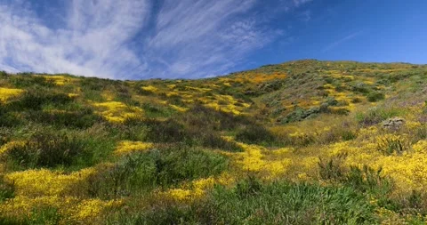 Panoramic view of scenic landscape of Antelope valley in California, 2023 s.. Video stock 269259357
