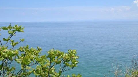 A panoramic view of sea background and waves with green tropical tree Video stock 115025252