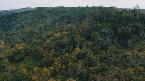 Panoramic view of Sen Monorom forest at Mondulkiri, Cambodia Stock Footage 243100407