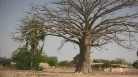 Panoramic view of Senegal Stock Footage 10719514
