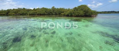 Panoramic view on shallow water Stock Photos