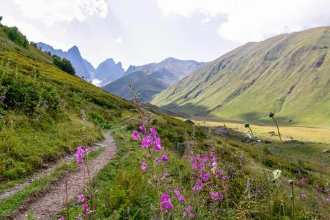 A panoramic view on the sharp mountain peaks of the Chaukhi massif in the G.. Stock Photos