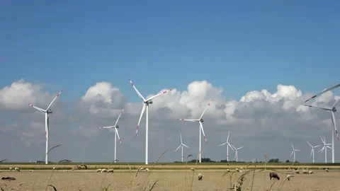 Panoramic view on sheeps in front of alternative energy wind mills Stock Footage 158678286