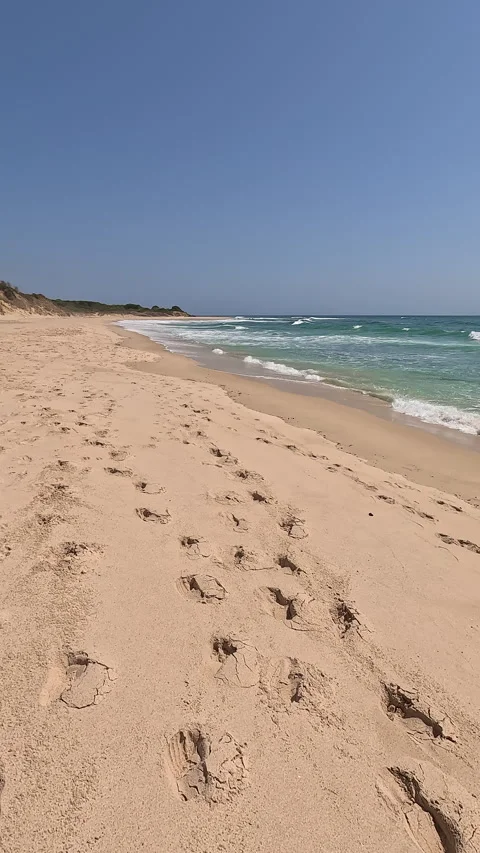 Panoramic view from the shore towards a beautiful wild beach Stock Footage 332074188