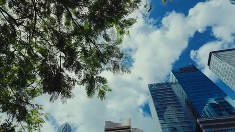 A panoramic view showcasing dense green trees against a modern skyline of Stock Footage 338311544