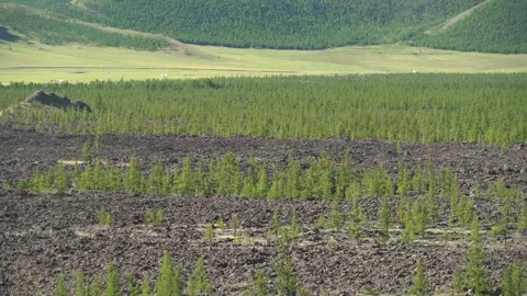 Panoramic view shows basalt plain - Harsh Environment and Ecological Succession Stock Footage 339703401