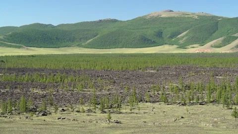 Panoramic view shows basalt plain - Volcanic Geology and Ecological Succession Stock Footage 339703682