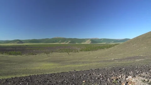 Panoramic view shows basalt plain - Field Vegetation and Ecological Succession Stock Footage 339705347