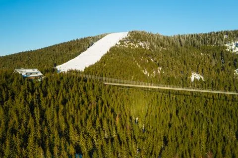 Panoramic view of Sky Bridge 721 over forest Stock-Fotos