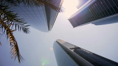 Panoramic view of the skyscrapers of Abu Dhabi through the leaves of palm trees Stock Footage 110707405