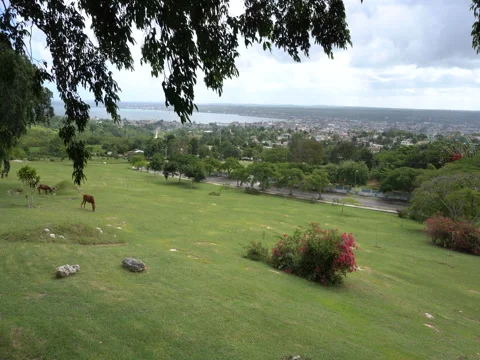 Panoramic view of the small field with bushes of flowers and city on a ba Stock Footage 71549427