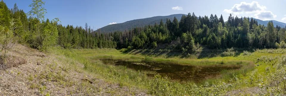 Panoramic View of a Small Forest Pond in Montana Stock-Fotos