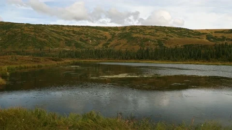 Panoramic view of small pond near Wonder Lake in Denali National Park, Alaska Video stock 153161436