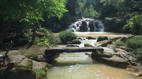 Panoramic view of small pond in the tropical forest. On a background waterfall Vídeo Stock 67536426