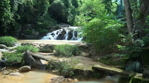 Panoramic view of small pond in the tropical forest at sunny day. On a Stock Footage 67536518