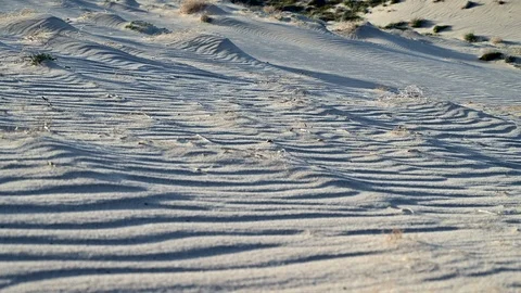 Panoramic view of small sand dunes drawn by the wind Stock Footage 126005223