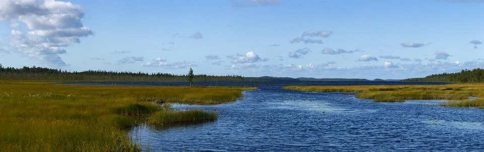 Panoramic view of the smooth surface of the lake with vegetation Stock Photos