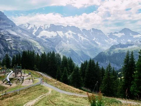 Panoramic view of snow-capped alpine mountains, forest and valley in summer 库存照片