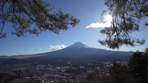 Panoramic View of Snow Capped Mount Fuji with Cityscape Framed by Pine Tree.. Stock Footage 337945132