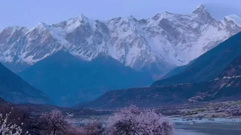Panoramic View of Snow Capped Namcha Barwa Peak and Spring Blossoms Tibet China Stock Footage 339161322