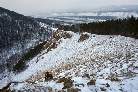 Panoramic view of snow covered mountains with pine tree forest in winter. C.. Stock Photos