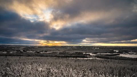 A panoramic view of the snow covered trees in the snowdrifts horizon. Natural Stock Photos