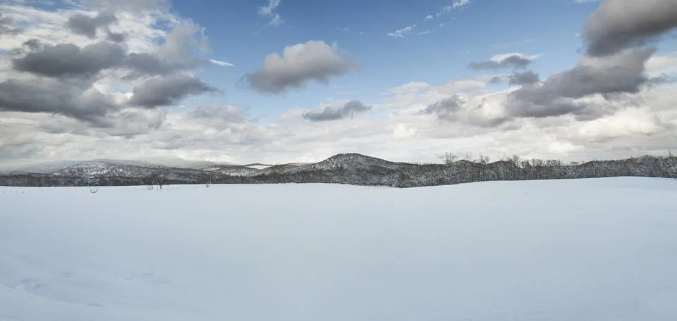 Panoramic view of snow fields landscape Foto stock