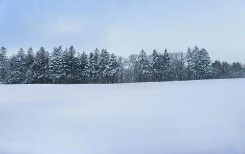 Panoramic view of snow fields landscape Stock Photos