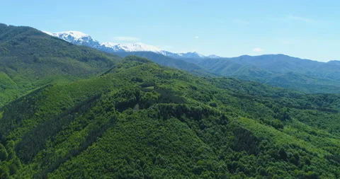 Panoramic view of snowy mountain range and magnificent green forest and hills Stock Footage 130718544