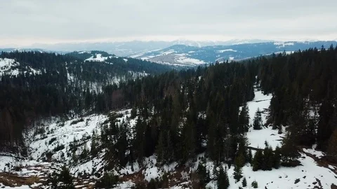 Panoramic view of snowy mountains with big green trees in snow, Top view aerial Stock Footage 106467033
