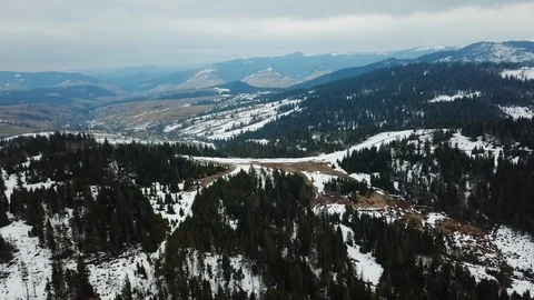 Panoramic view of snowy mountains with big green trees in snow, Top view aerial Stock Footage 106467455