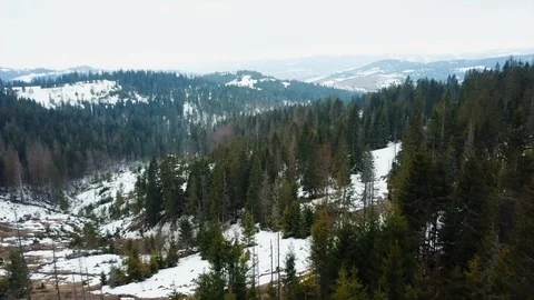 Panoramic view of snowy mountains with big green trees in snow, Top view aerial Stock Footage 106469347