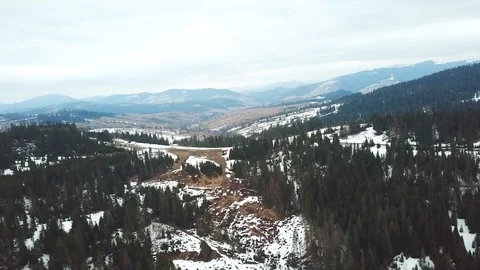 Panoramic view of snowy mountains with big green trees in snow, Top view aerial Stock Footage 106469599
