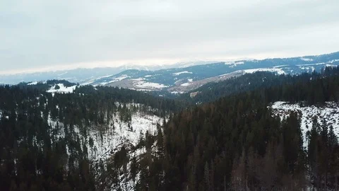 Panoramic view of snowy mountains with big green trees in snow, Top view aerial Stock Footage 106469716