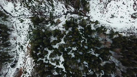 Panoramic view of snowy mountains with big green trees in snow, Top view aerial Stock Footage 106470025