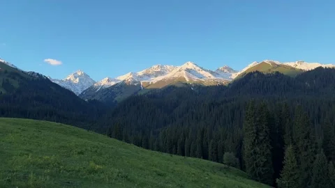 Panoramic View of Snowy Tian Shan Mountains and Alpine Forests, Xinjiang, China Stock-Footage 337350157