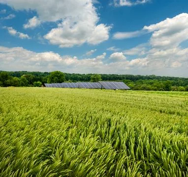 Panoramic view of Solar panels and green wheat field in summer under beauti.. Stock Photos