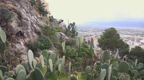 Panoramic view of Spanish town of Cullera Background Stock Footage 47865066